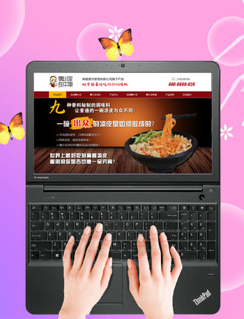 魏小宝红焖鸡饭